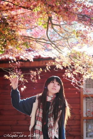 ///Maples fall in Love///