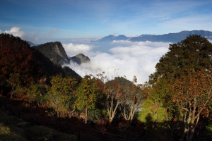 高山美景-阿里山