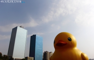 近期休假拍拍~~~~~~~~~~!!!