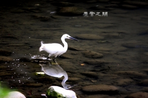 (chujy) 新竹東門城隨拍