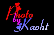 那天..我們去看鴨鴨..