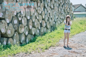 **Sweet Summer** by Chien Kang