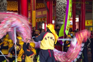舞龍，流動，一張流