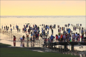 台中Wang~~這個角度看高美。07/30夕陽西下。