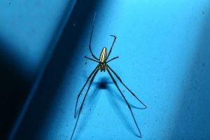100L實拍＠自來水公園 更新
