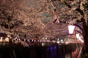 2015東京和郊區自助旅行 (阿美橫町 淺草寺 目黑川) DAY5 下