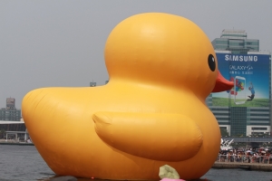 2013.09.20 黃色小鴨 at 高雄光榮碼頭(M圖稍多...)