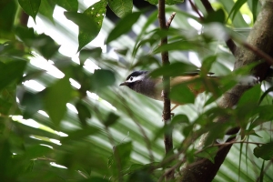 竹東綠世界一日遊