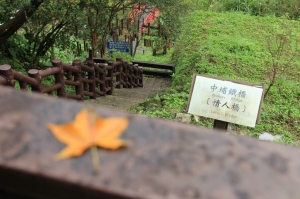Tai Wan