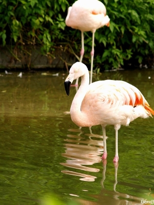 Taipei Zoo