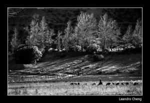 (黑白) Humahuaca印象 - Leandro