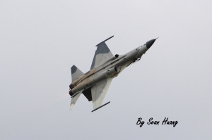 Indigenous Defence Fighter!!! Solo Demo!!!