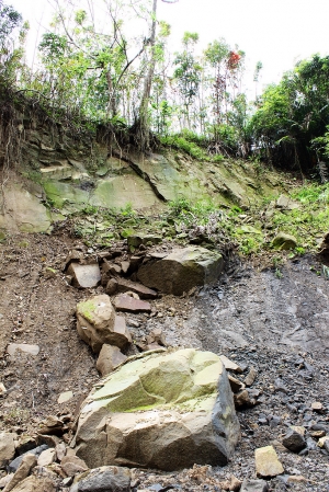 2.5小時,霧峰青桐林登山健行