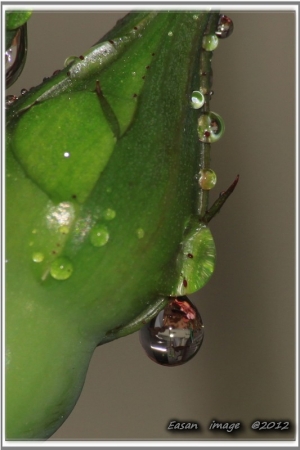 水滴の舞~~