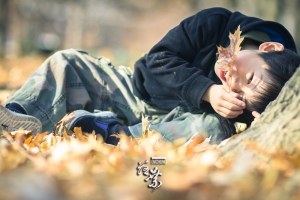 ::: Fallen Leaves 落葉 by DV :::