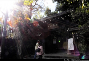 1011116嵐山常寂光寺