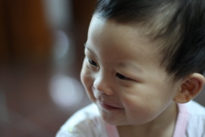 大毛1歲　隨選
