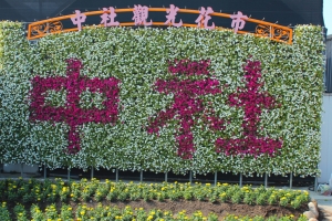 中社鬱金香花季 bevis