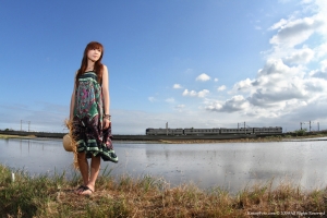 秋，稻田央