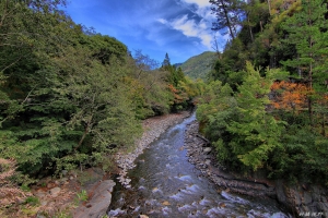 武陵.福壽山11/9一日疾走~By 好攝客