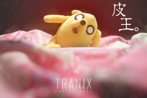 皮王
