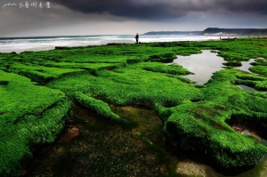 三月的老梅~很快就沒