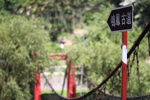 苗栗鳴鳳山古道~~