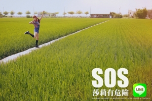 SOS 莎莉有危險!
