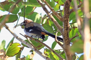 456L~新竹湳雅公園