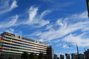 MEL 旅遊 DAY3 市區