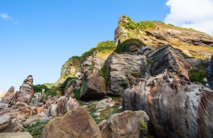 1308北海岸 藍天白雲一日遊