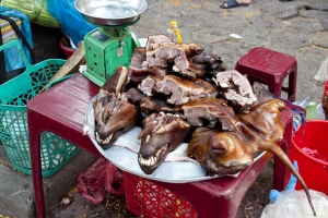 飆下眼淚與按下快門的同時....