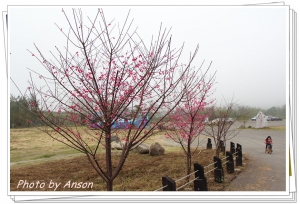 20130203 竹東河濱公園