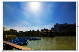 台中公園~