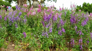 淡水一日遊之餐廳篇與夜景篇