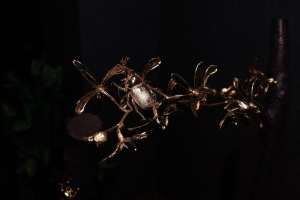 2011台南國際花展(一) 黃金蘭花
