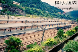 貓村。侯硐