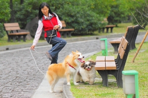 自由廣場的小飛--犬像拍攝