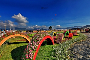 2012年新社花海節