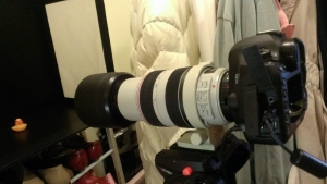 喜歡拍攝小東西~