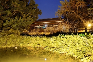 ++ 索羅門 新竹麗池公園~愈夜愈美麗--夜拍(16-35mm)