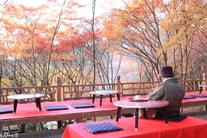 京都紅葉回憶