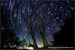 夫妻同星@毒魔兔