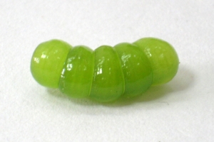 這是什麼？