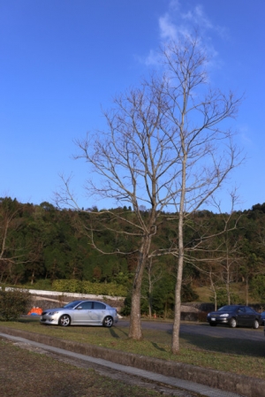 超冷門鏡EF 28 2.8 is usm