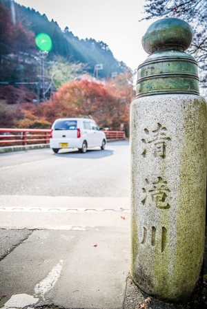 地雷??仙境??京都高雄沢の池