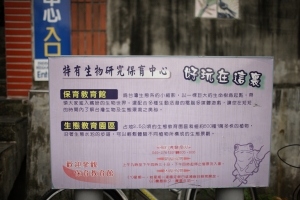 第一次拍鳥,但卻有淡淡的哀傷!