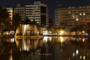 夜拍 秋紅谷.台中公園