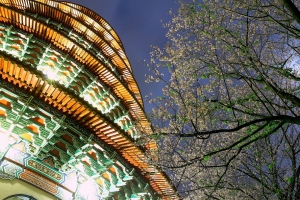 趕流行_無極 天元宮((夜