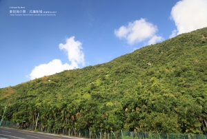 2012 花東海岸旅行